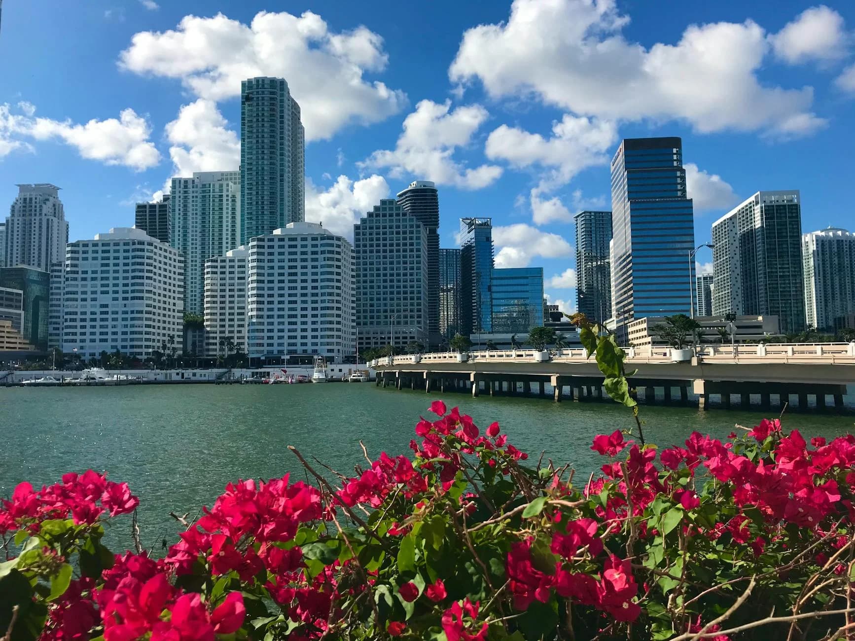Vibrant Miami Skyline With Lush Bougainv 3