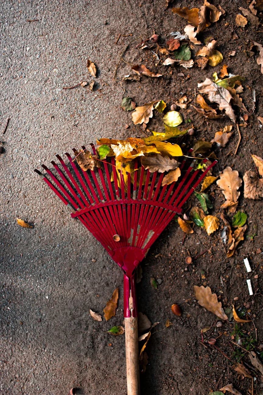 Close Up Of A Red Rake Amidst Fallen Aut 3