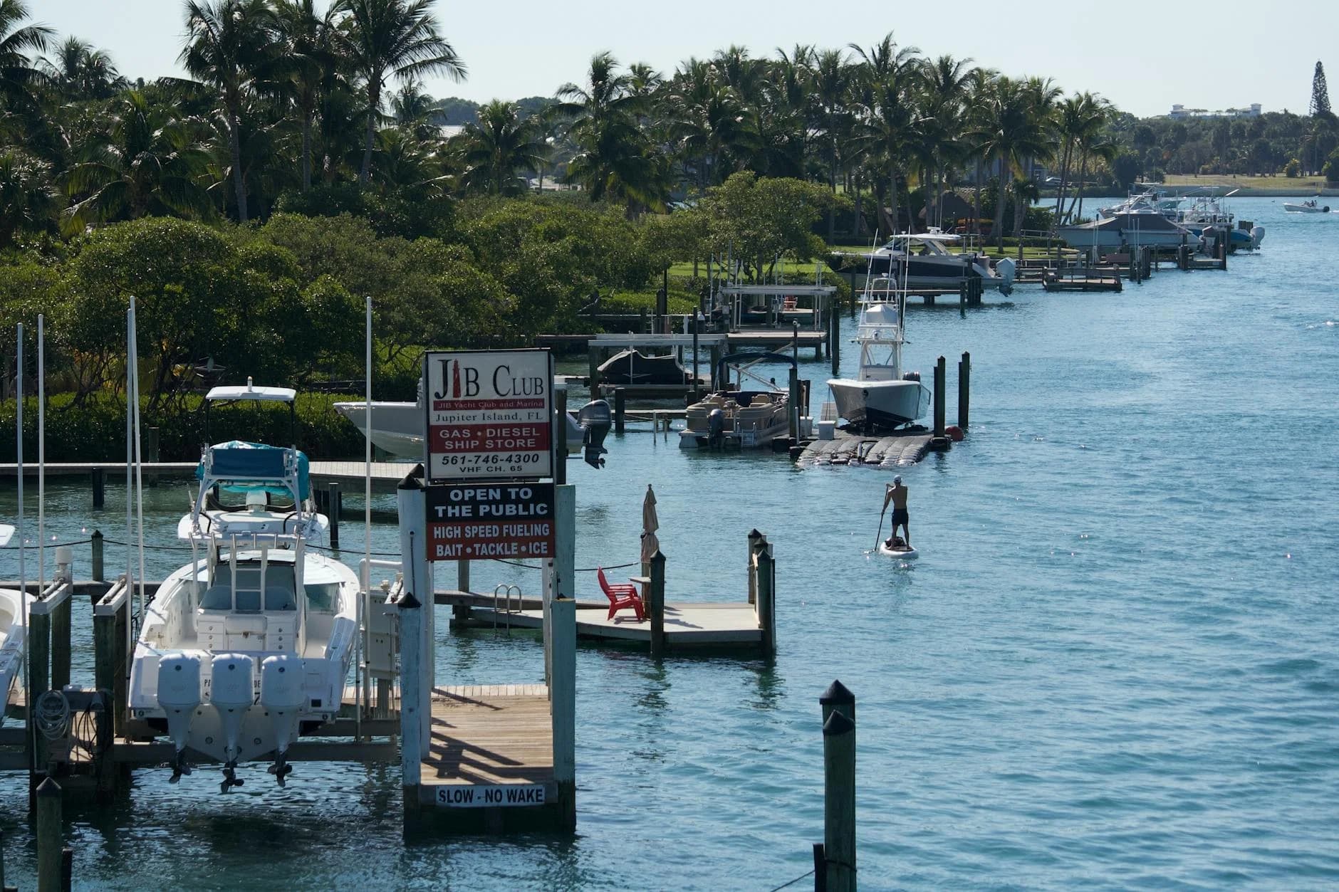 A Picturesque Marina With Boats Palm Tre 2