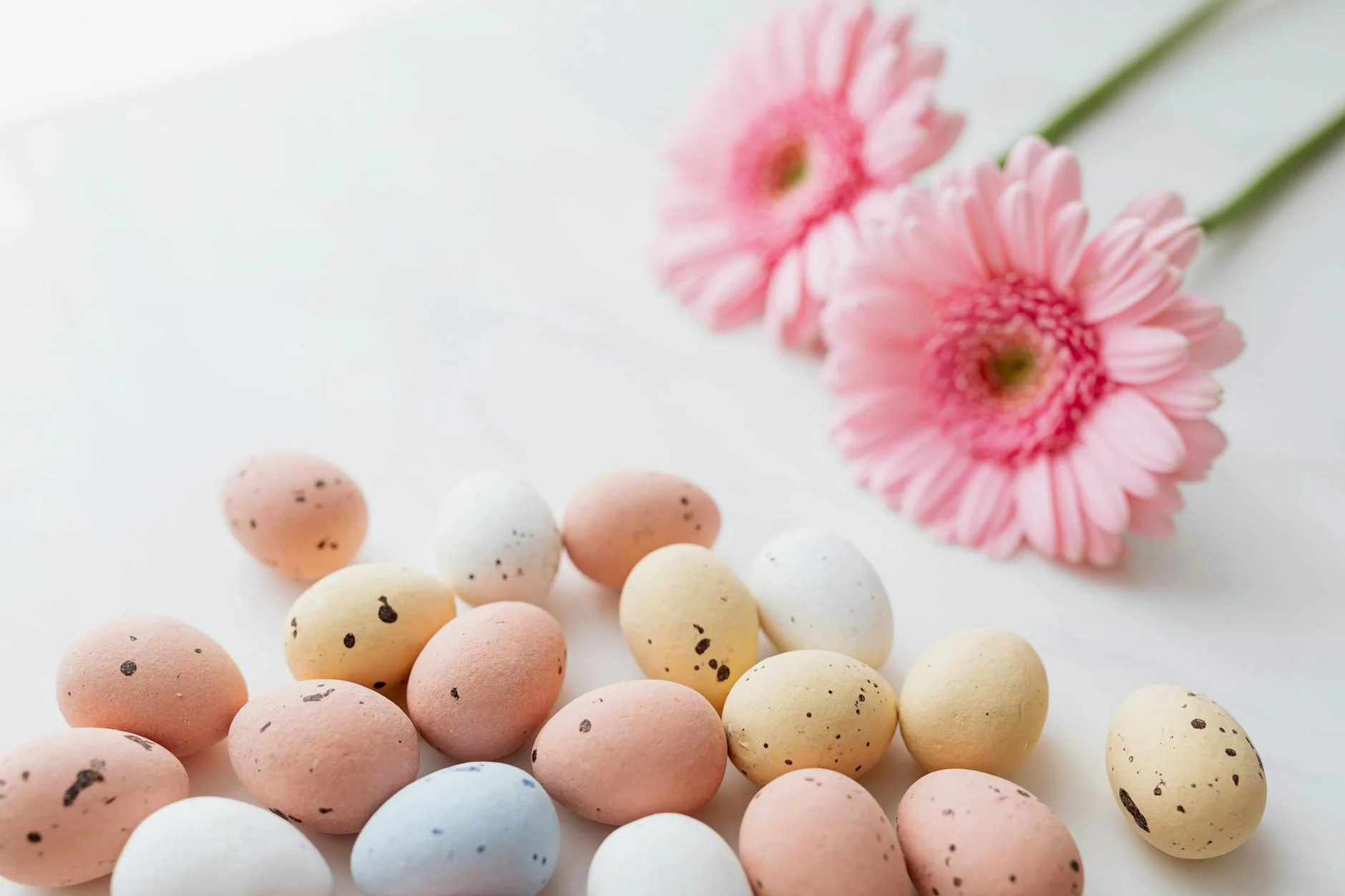 Happy Easter 2025 from Rapid Panda Movers