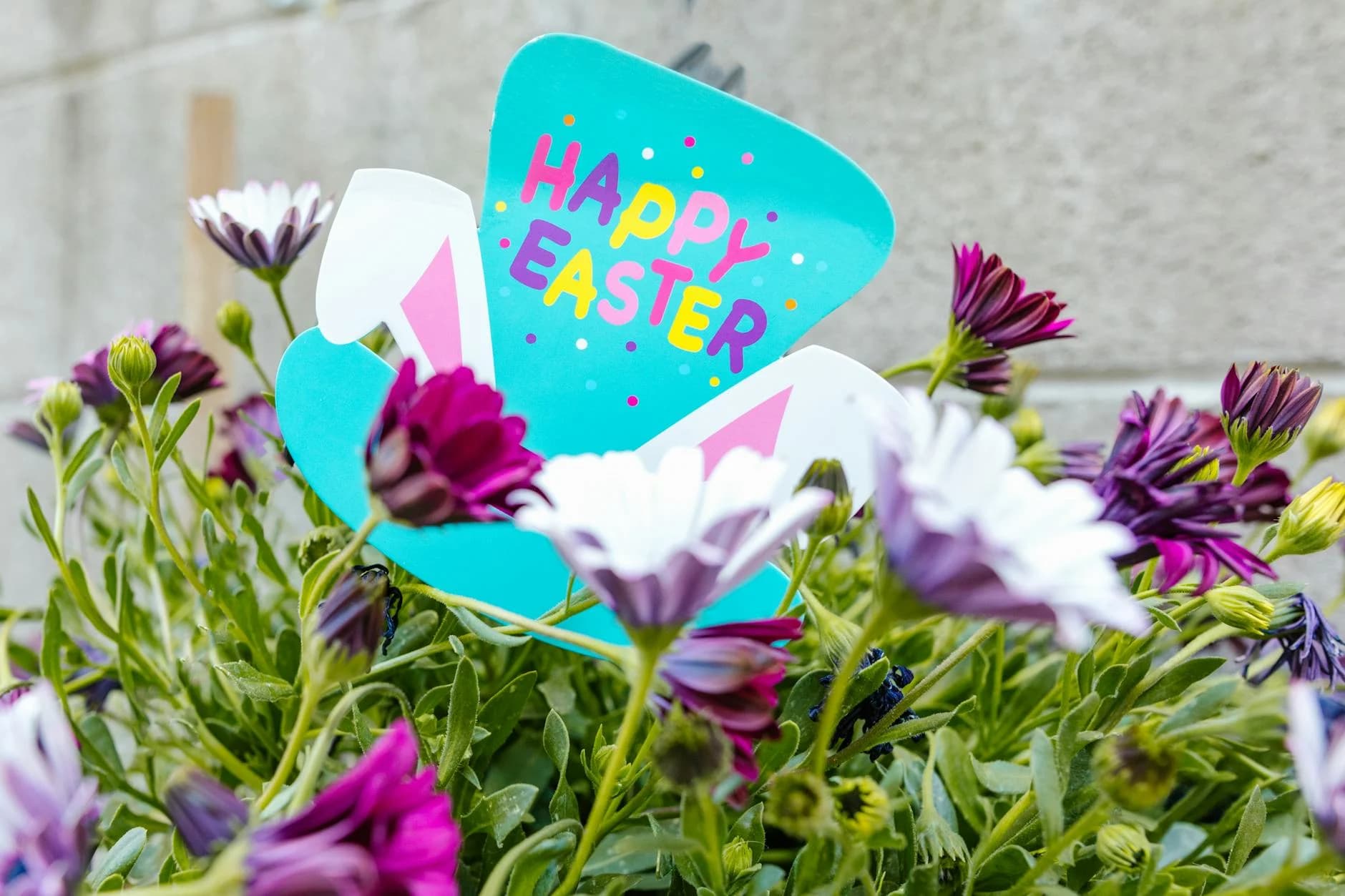 Happy Easter 2025 from Rapid Panda Movers