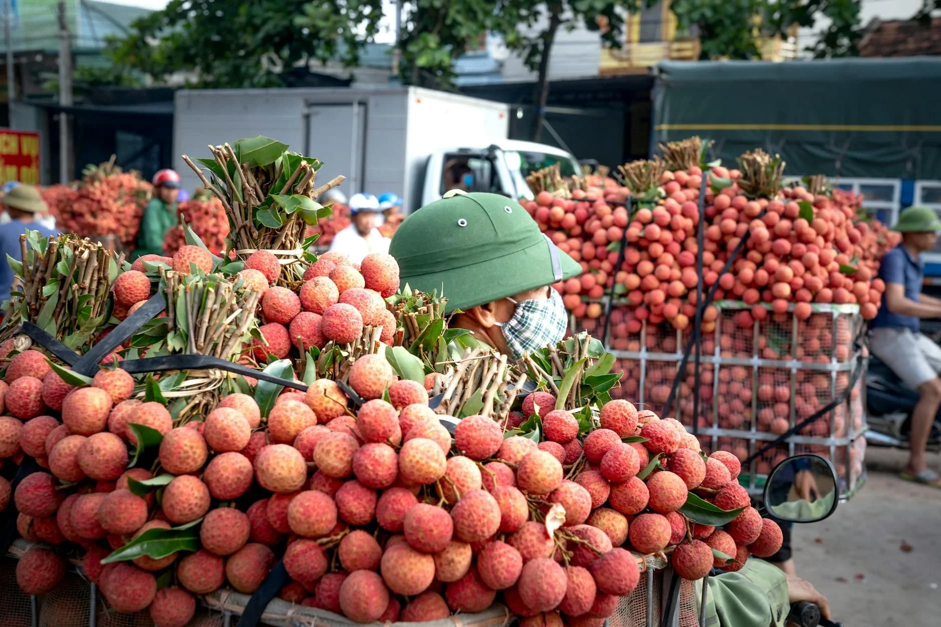 A Bustling Scene Of Fresh Lychee Fruits 2