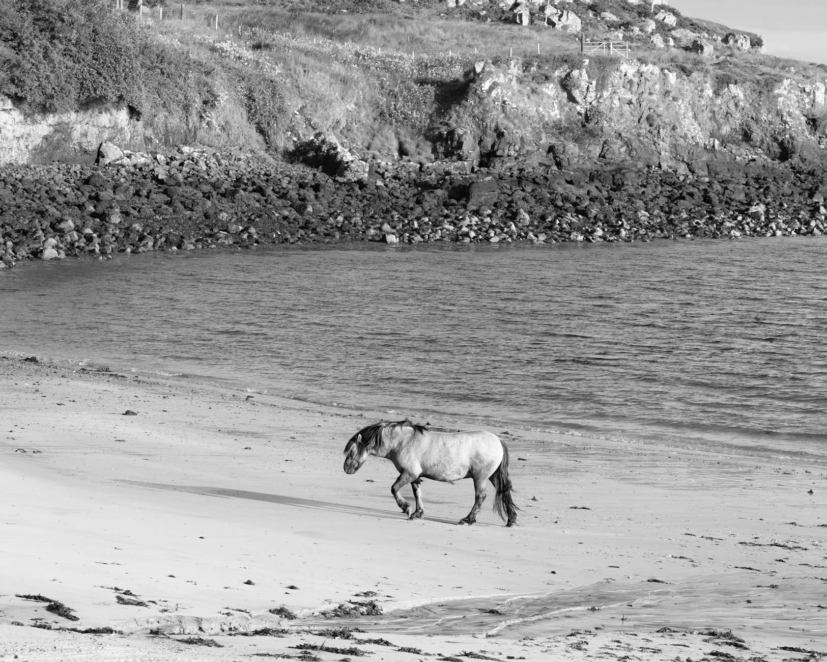 Starting Fresh in Sunny Isles Beach: A Newcomers Guide