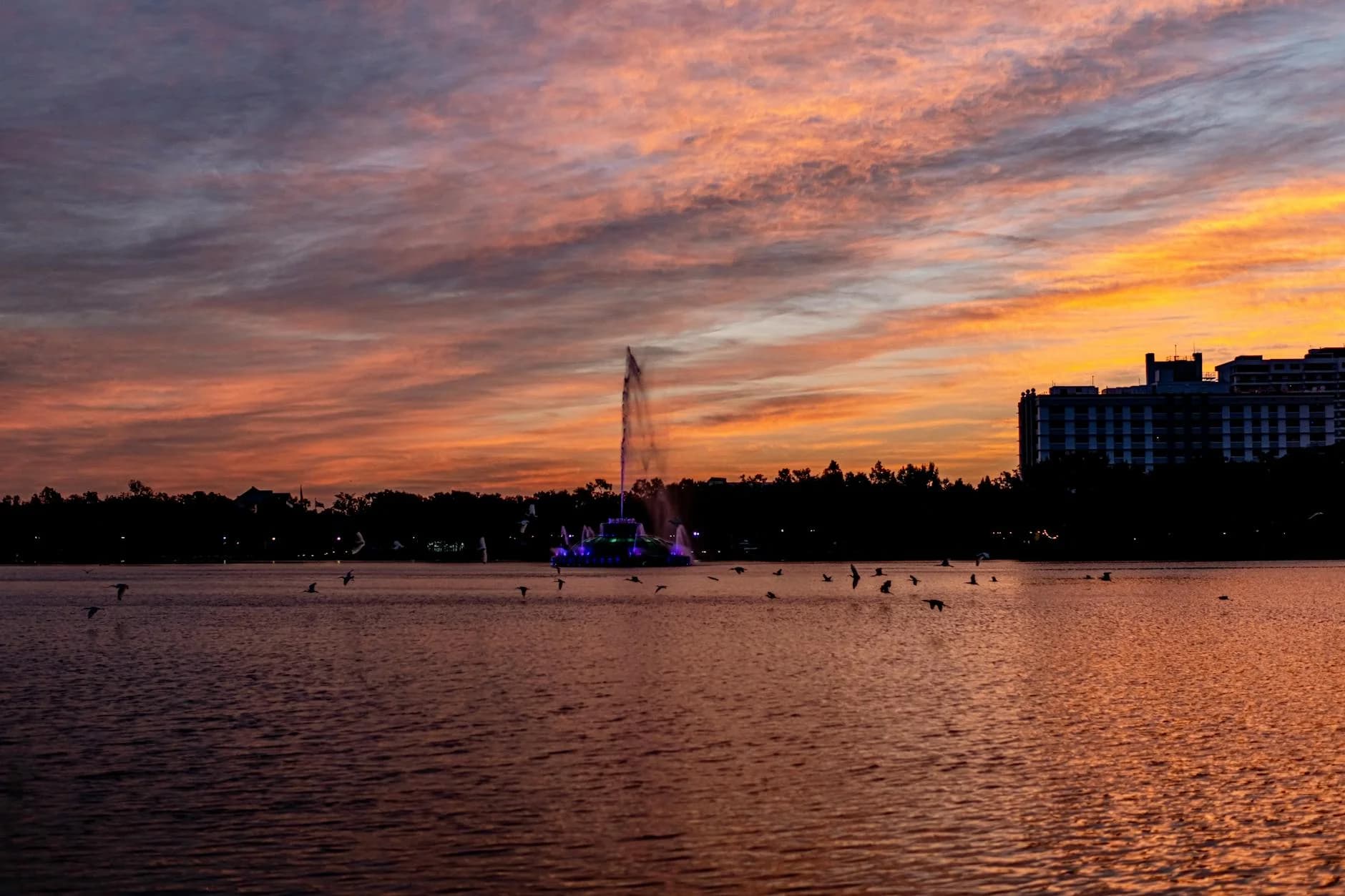 Stunning Sunset View Of Lake Eola Founta 5