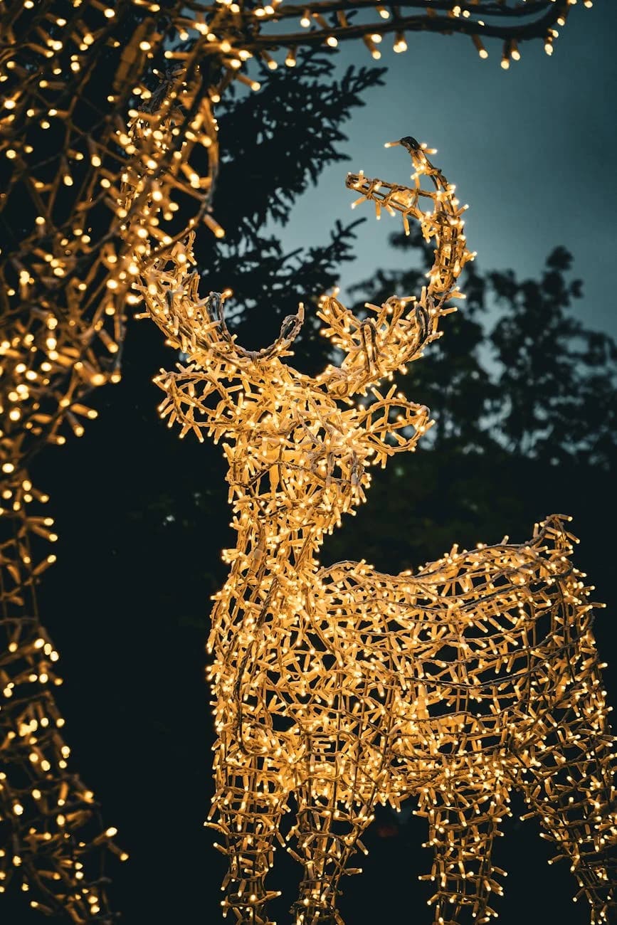 Merry Christmas 2025 from Rapid Panda Movers