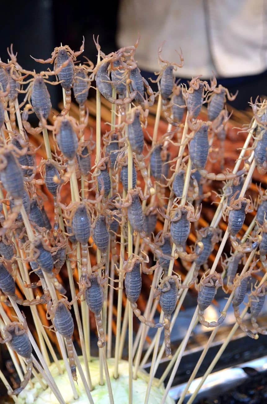 A Detailed View Of Exotic Scorpions On S 2