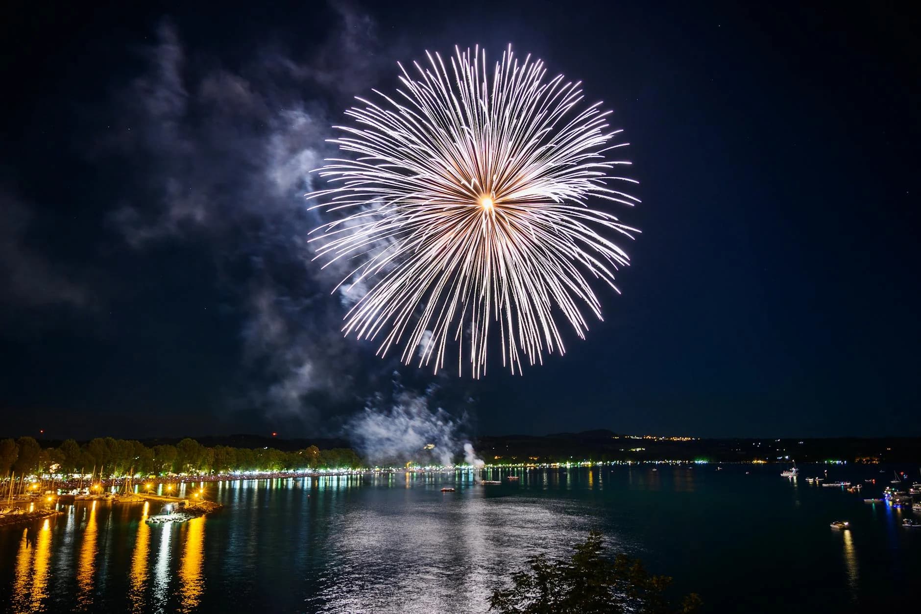 Happy New Year 2026 from Rapid Panda Movers