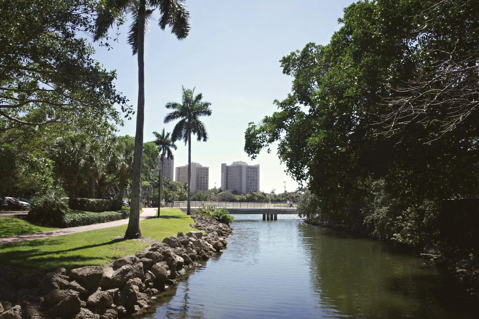 Tranquil University Campus View With Pal 2