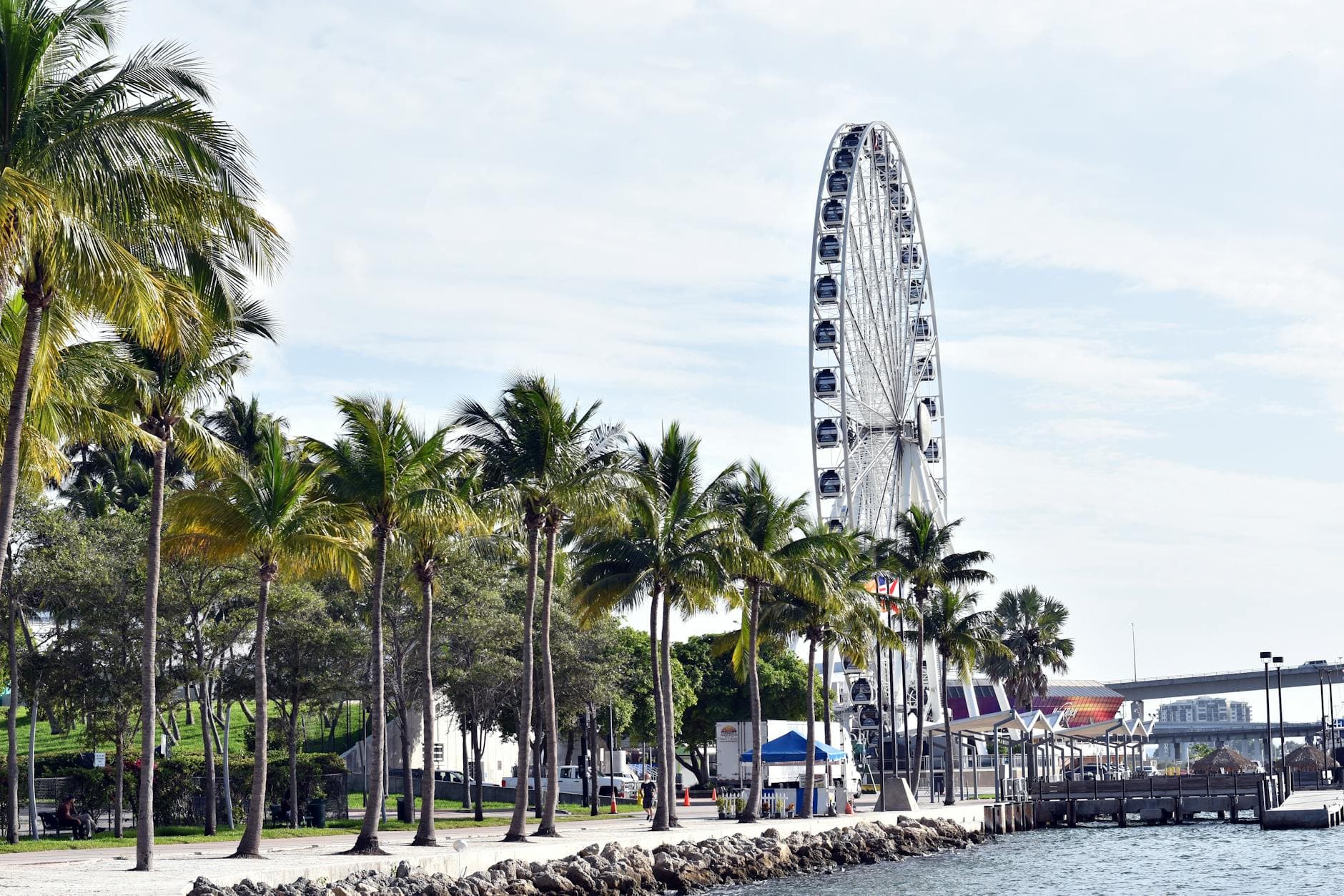 Ferris Wheel Near Palm Lined Waterfront 1