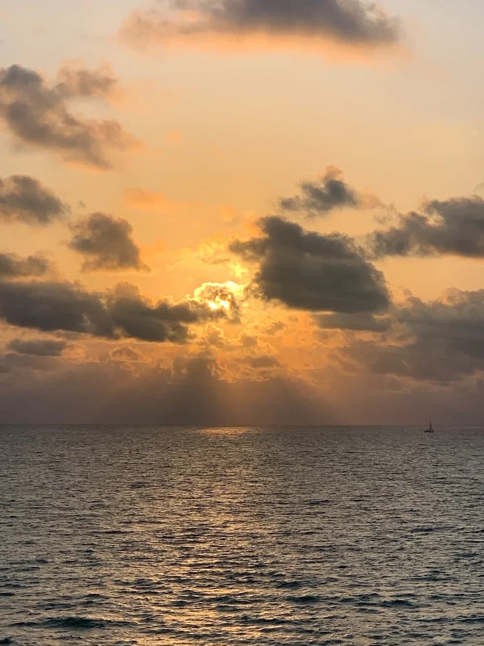 Your Complete Guide to Moving to Miami