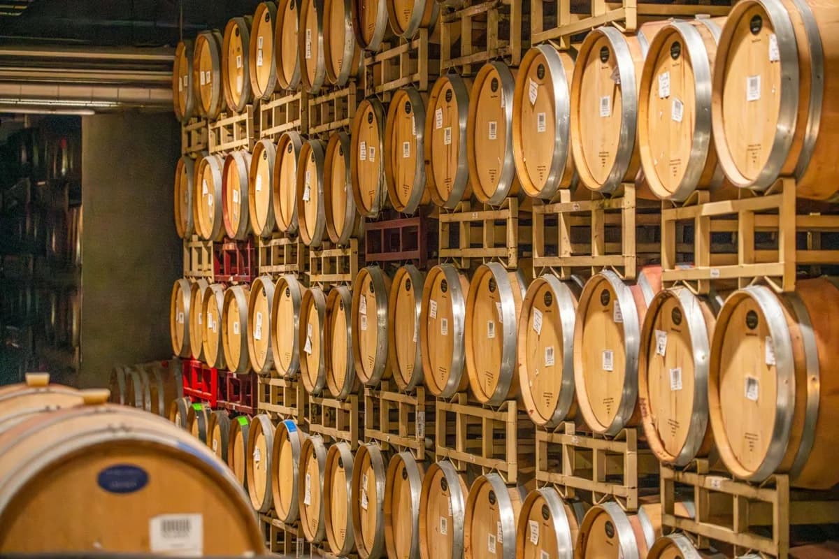 Wine barrels in climate-controlled cellar storage