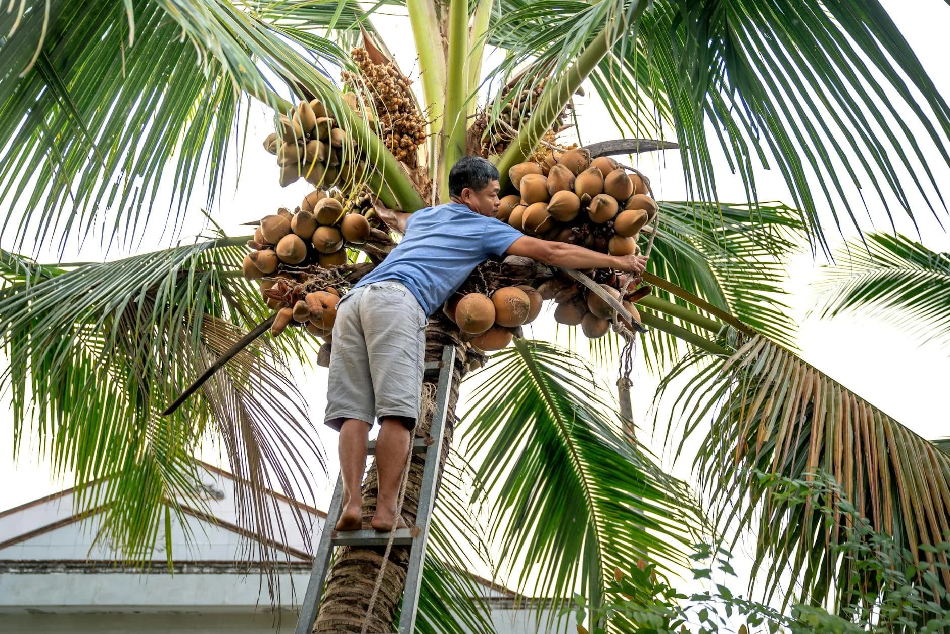 Making Coconut Grove Your New Home: A Practical Guide