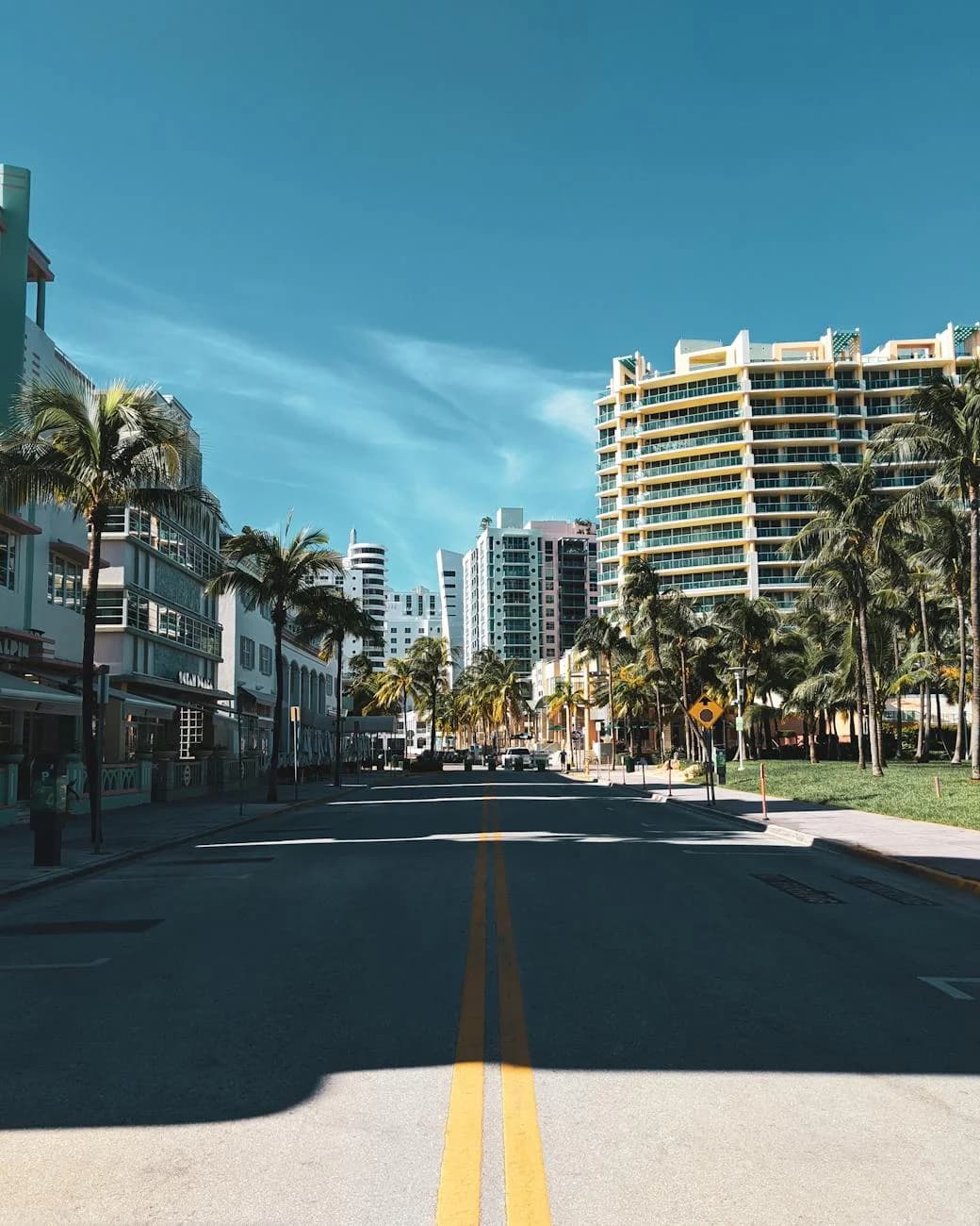 Empty Streets With Palm Trees And Modern 1
