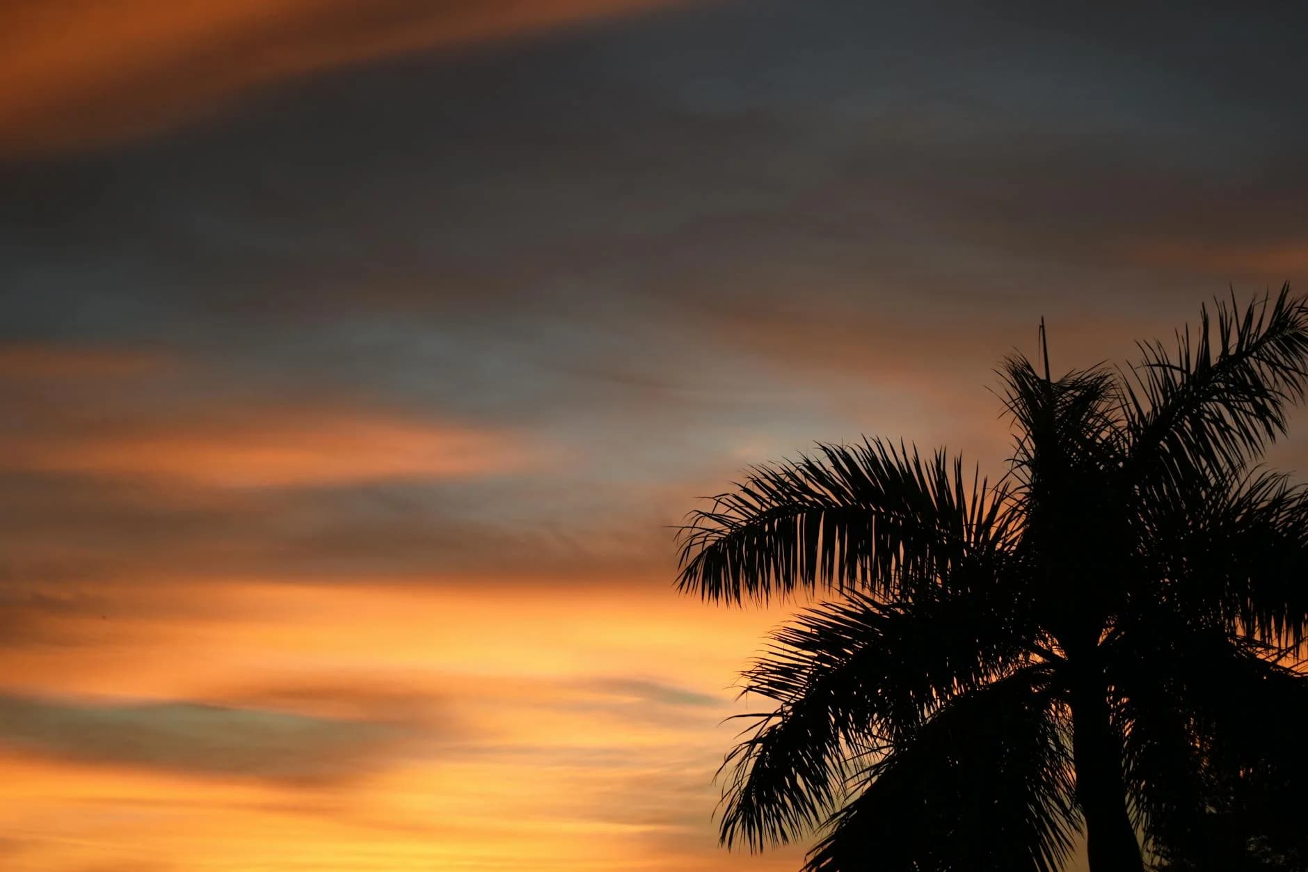 Everything You Need to Know About Living in Palmetto Bay