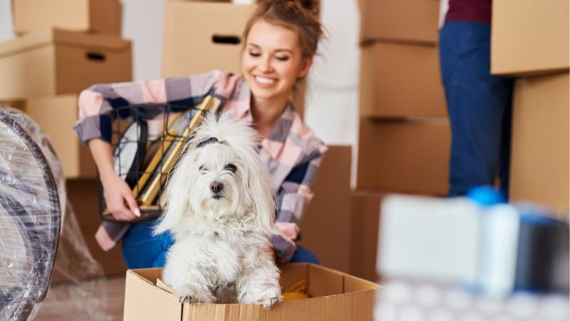 Apartment Moving Tips for Pet Owners